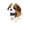Style5, variant on BESTSKY Dog Toys for Kids,Interactive Sound Walking Dog Toy,Pull Design Realistic Movement Puppy Toys for Kids,Style1