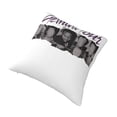 thumbnail image 3 of Funda de almohada supersuave Lucki con cremallera para dormitorio, sofá, sillón, fundas de almohada mullidas y acogedoras para todas las estaciones, almohada cuadrada, 3 of 8