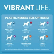 Vibrant Life Pet Kennel 32 Medium Plastic Dog Crate Portable Carrier for Pets 30 to 50 lbs, Gray