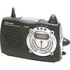 Emerson AM/FM/TV Portable Radio with Instant Weather