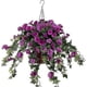 thumbnail image 1 of Hanging Basket Artificial Vine Silk Petunia Flowers For Outdoor/indoor, 1 of 5