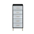 thumbnail image 5 of Newboti Furniture Myles Black, Silver & Gold Finish Jewelry Armoire 76087, 5 of 9
