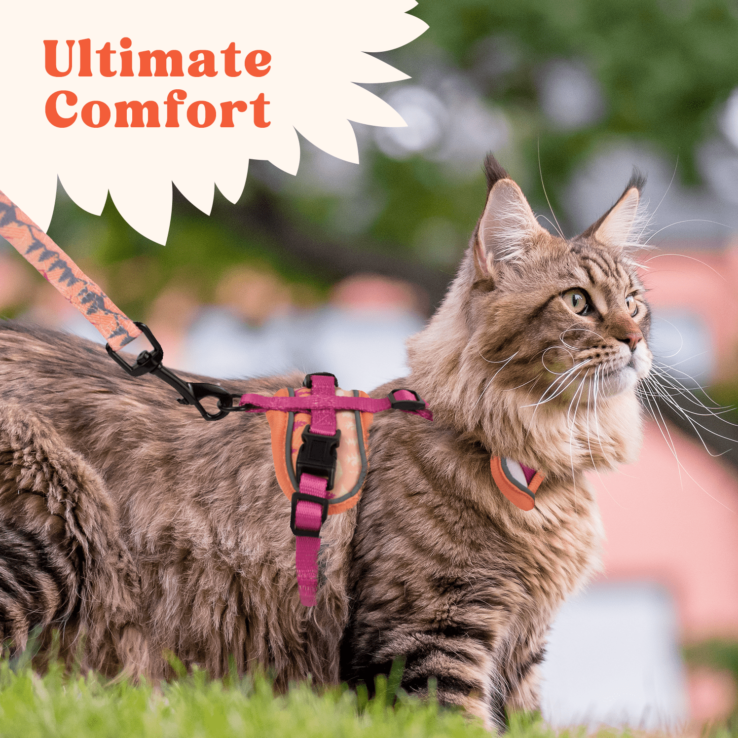 Petgrove Cat Harness and Leash Set for Walking, Sierra Mountains, Small