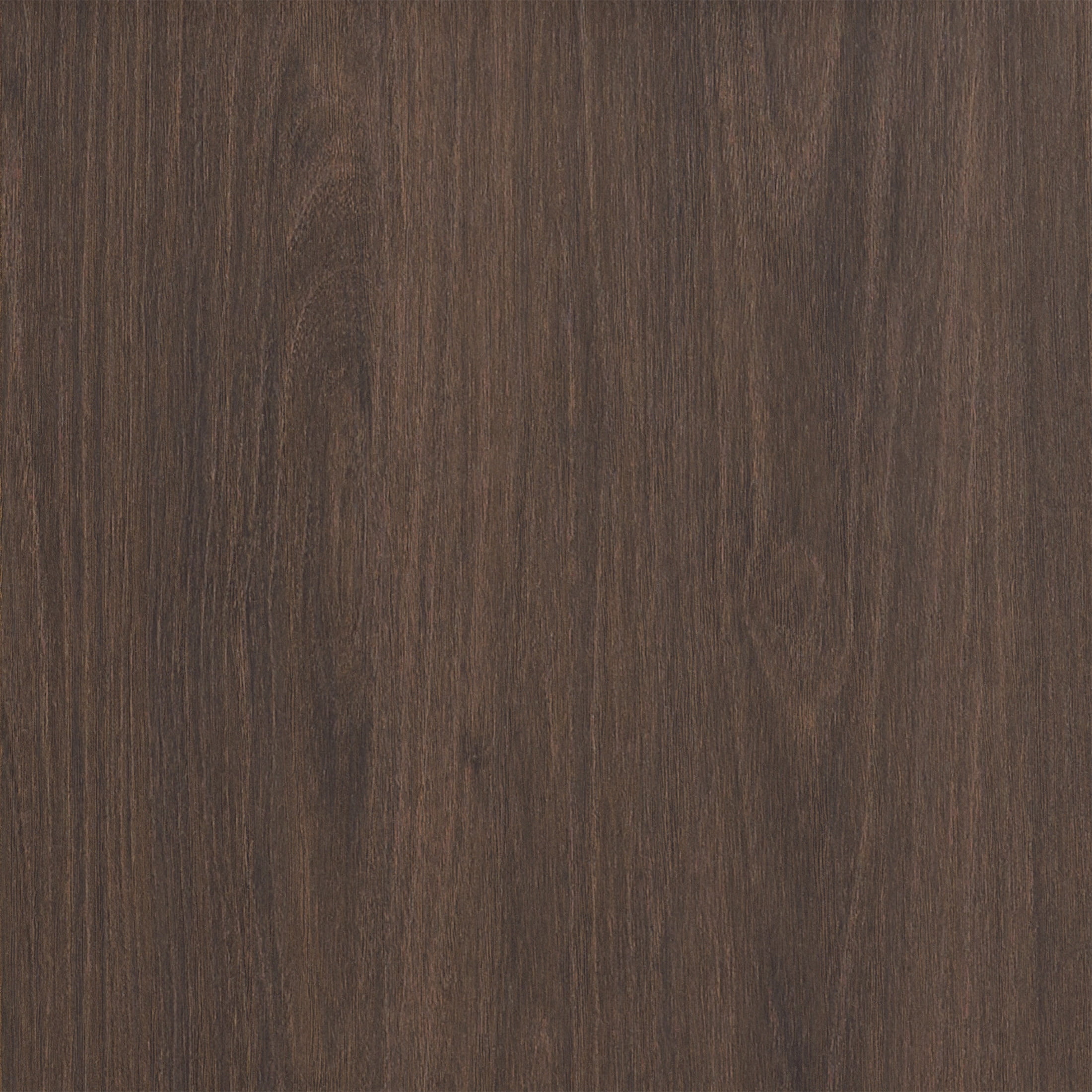Evelyn&Zoe Modern/Contemporary 28" Wide Alder Brown Accent Cabinet