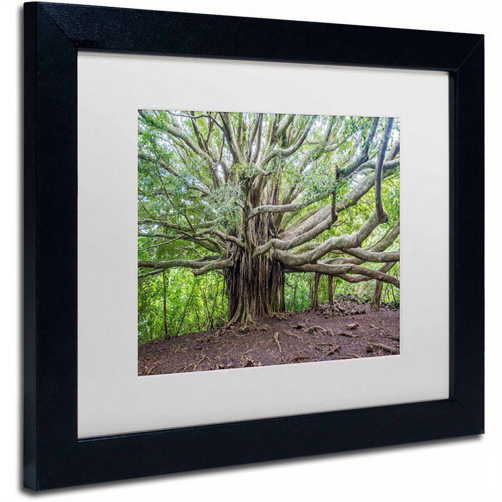 Trademark Fine Art "Banyan" Canvas Art by Pierre Leclerc, White Matte/Black Frame