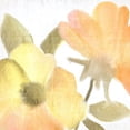 thumbnail image 3 of Kimberly, Allen 20x20 Black Modern Framed Museum Art Print Titled - Summer Blooms 2, 3 of 5
