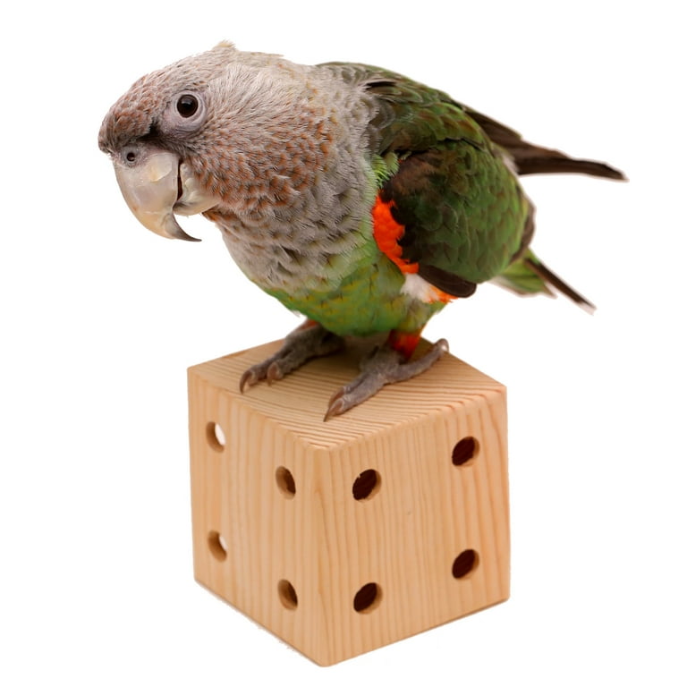 Natural Foraging Box Toy for Parrots Walmart
