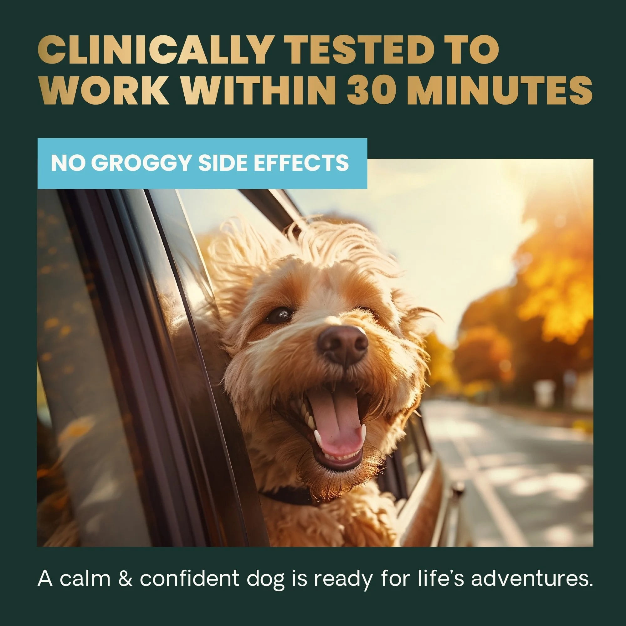 VetriScience Long Lasting Calm & Confident Anxiety Support Soft Chews for Dogs, Chicken, 30 Count Bag