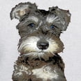 thumbnail image 3 of CafePress - Miniature Schnauzer Hooded Sweatshirt - Pullover Hoodie, Hooded Sweatshirt, 3 of 4