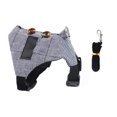 thumbnail image 3 of Weiweiguan 1 Set Creative Rabbit Suit Lightweight Rabbit Vest Portable Traction Rope Rabbit Leash, 3 of 6