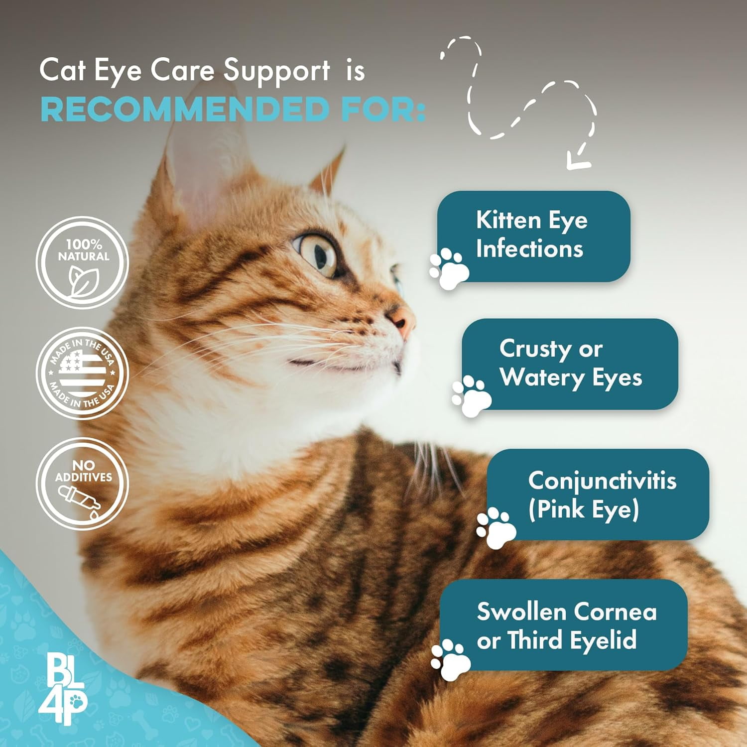 Eye drops for kittens walmart hot sale