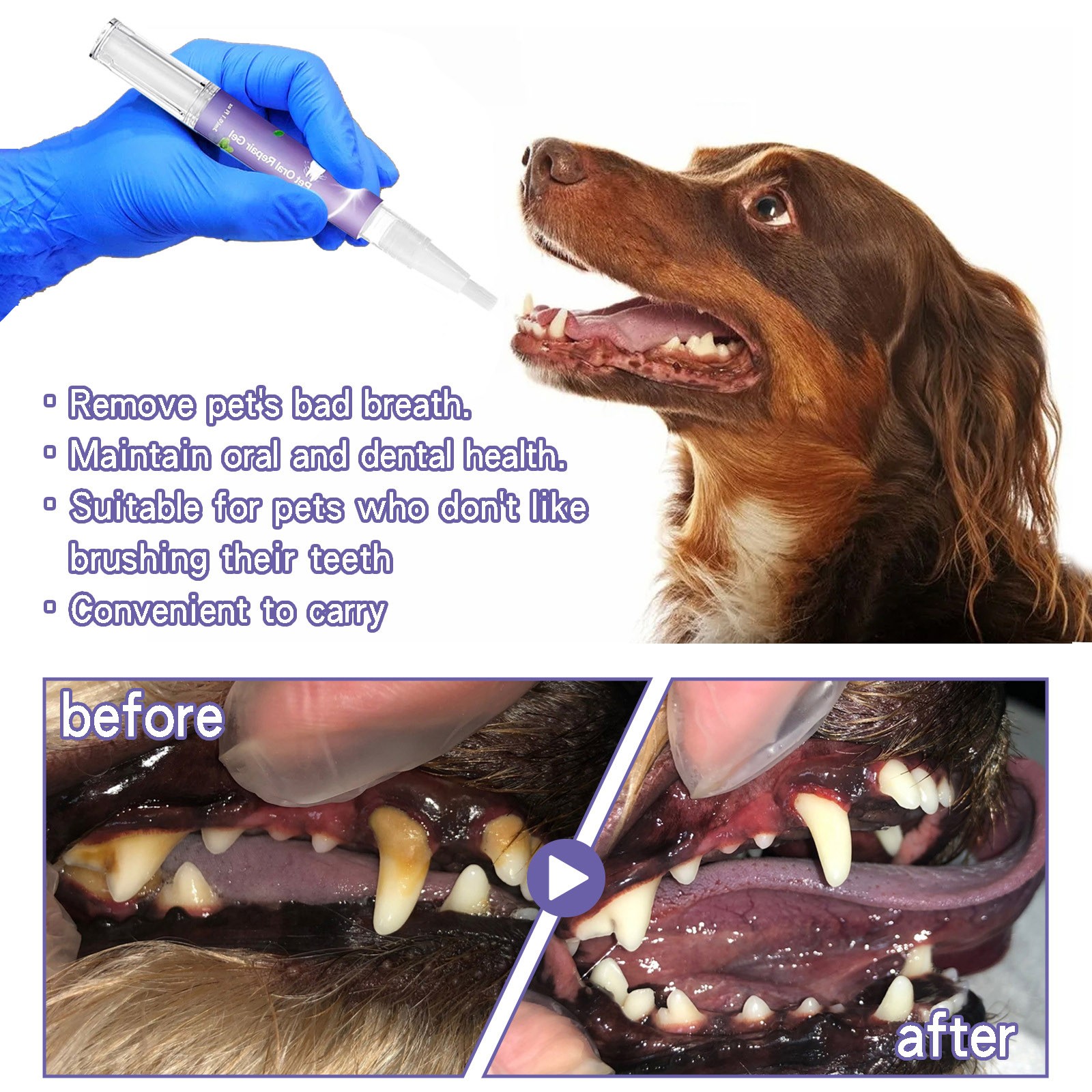 How to Clean Dog Teeth Without Brushing: Easy Tips