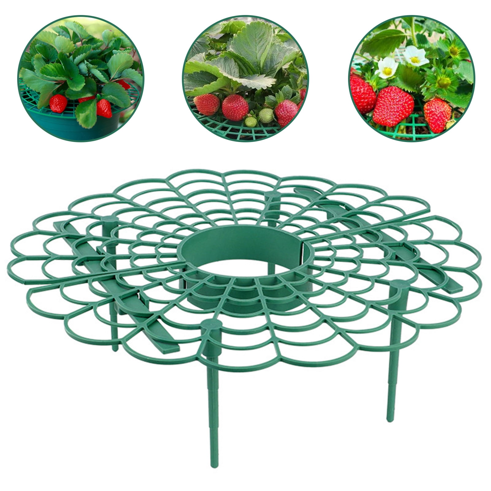 Travelwnat Strawberry Plant Supports, Strawberry Plant Stand with