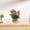 Pink A, variant on Hmgxay Artificial Miniature Flower, Decorative Simulated Potted Plant for Home Décor, Fake Greenery for Photography Props, Maintenance-Free Plastic Floral Accent