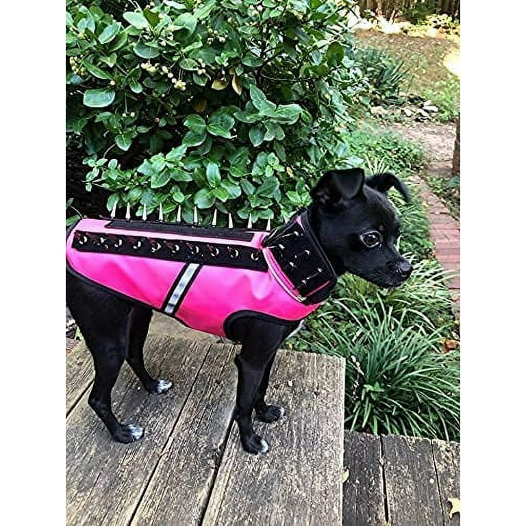 Anti coyote vest for dogs best sale