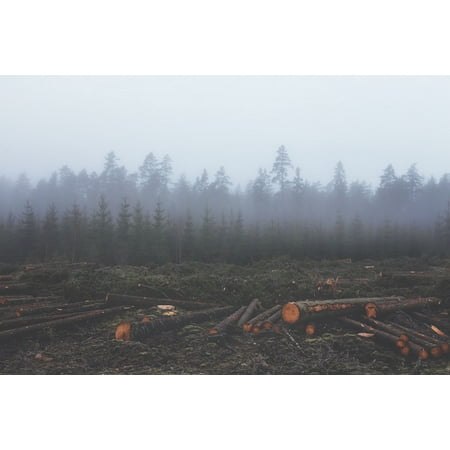 laminated poster lumber untimber deforest deforestation logs poster