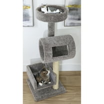New Cat Condos Climber