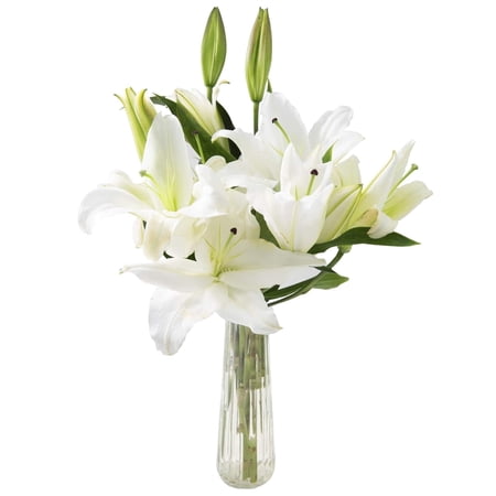 KaBloom : 5 White Lilies in Vase Next-Day Delivery Gift for Every Occasion.