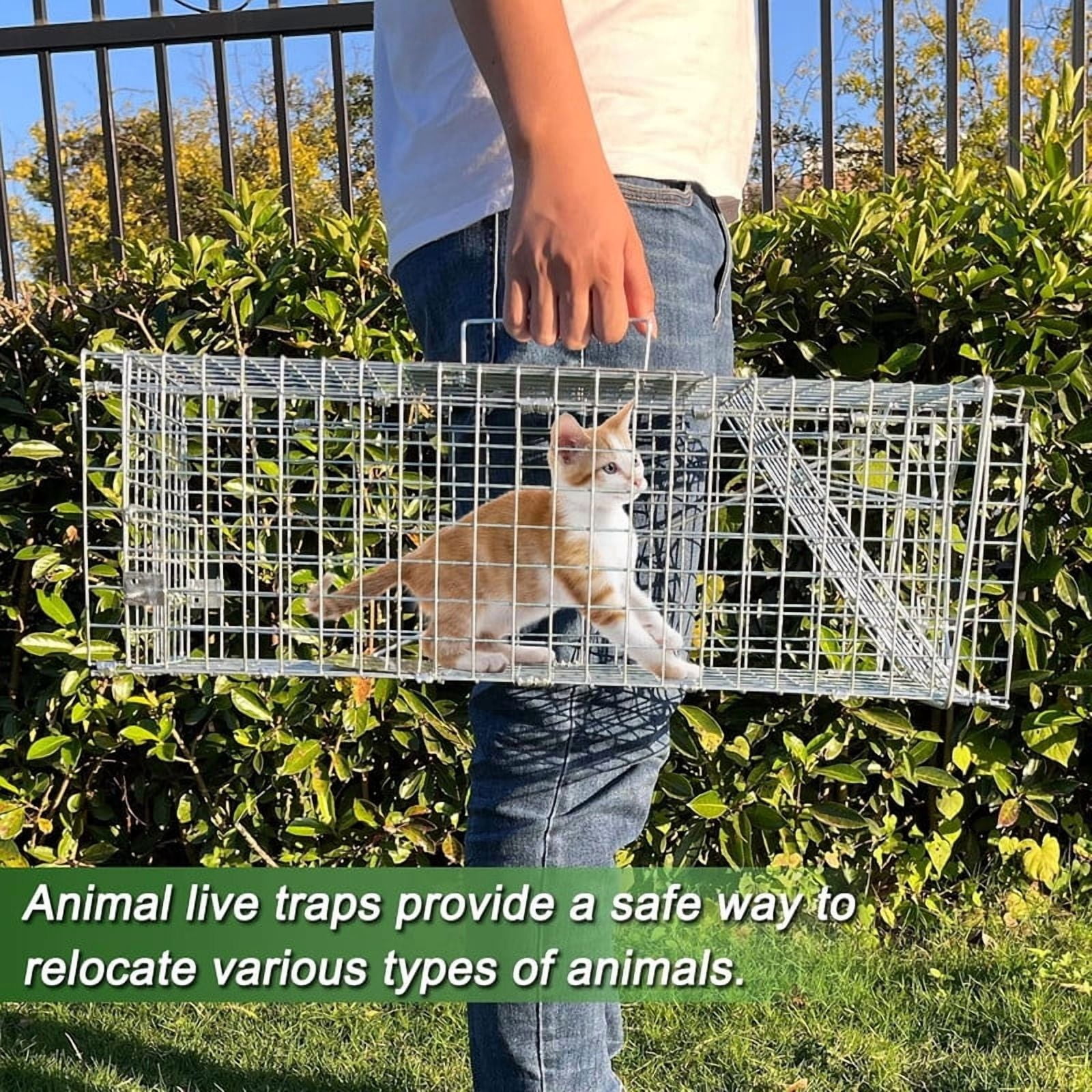 Live Animal Cage Traps,24in Rabbit Trap,Humane Way Folding Raccoon Traps for Stray Cats,Squirrels,Live Traps for Raccoons,Steel Foldable with Pedal Triggers