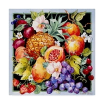 Trademark Fine Art 'Bright Summer Fruits' Canvas Art by Barbara Mock