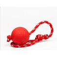 thumbnail image 1 of Lishi Pet Rubber Chew Toy Ball on a Rope Dog Interactive Ball Thrower Medium, 1 of 6