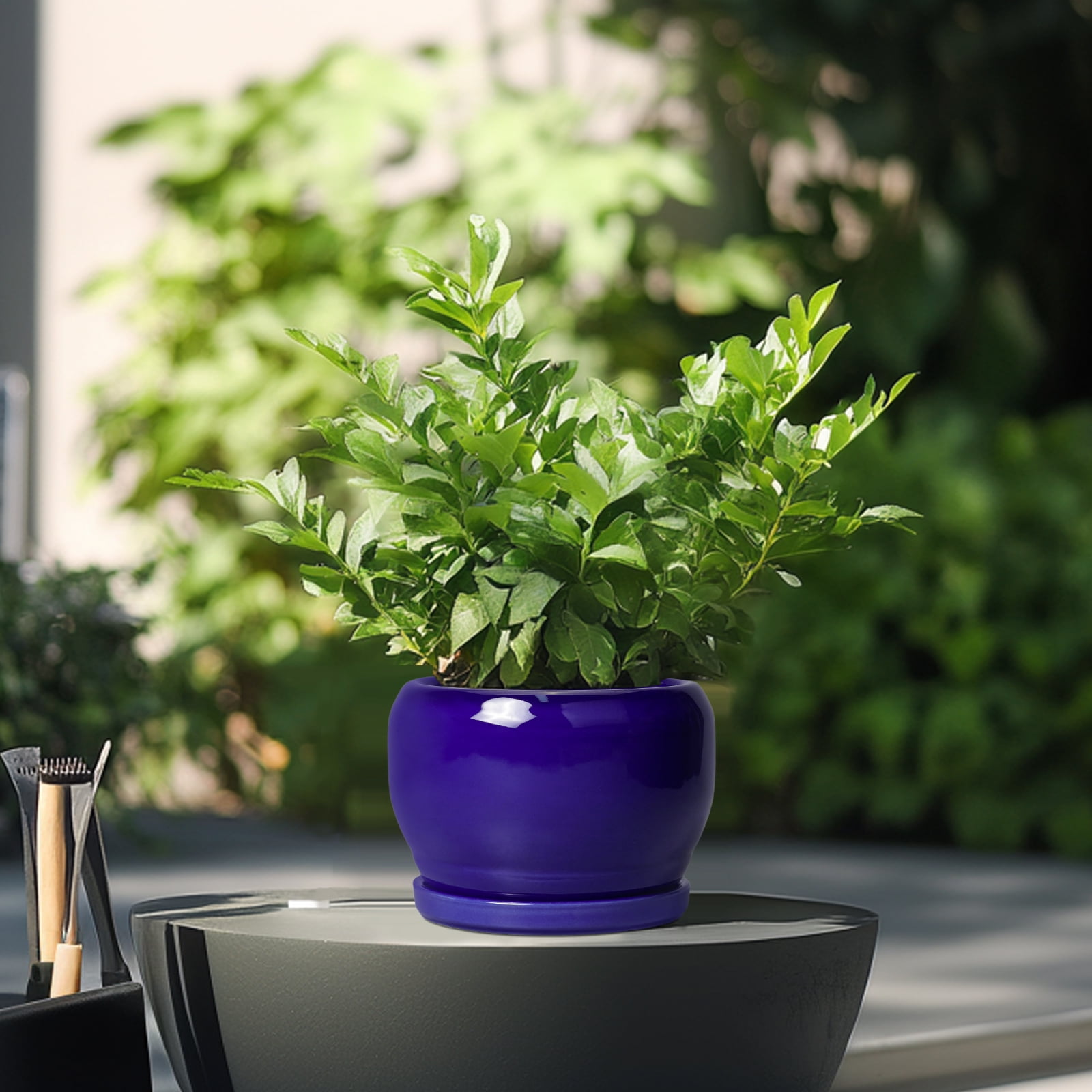 Ordivic 6 inch Cobalt Blue Ceramic Plant Pot with Saucer & Drainage Hole, Small Indoor Flower Planter for Succulents & Herbs, Home Decor