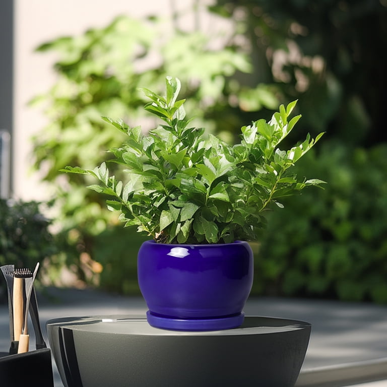 Ordivic 6-Inch Cobalt Blue Ceramic Plant Pot with Saucer photo 3