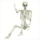 thumbnail image 5 of Decoración de Esqueleto de Halloween, Esqueleto Articulado de Cuerpo Completo con Articulaciones Móviles, Accesorio Espeluznante para Patio, Jardín, Césped, Patio, 5 of 5