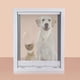 thumbnail image 5 of Puertas plegables premium para gatos y perros, de plástico ABS, para mascotas pequeñas, medianas y grandes. L Blanco, 5 of 9