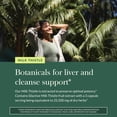 thumbnail image 5 of Gaia Herbs Milk Thistle - Liver Supplement & Cleanse Support for Helping to Maintain Healthy Liver Function* - 120 Vegan Capsules (40 Servings), 5 of 9