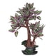 thumbnail image 2 of Ficarrico base de resina sintética acuario hermoso color artificial simulación árbol apariencia accesorio para tanques de peces decoración del paisaje, 2 of 8
