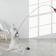 thumbnail image 4 of The product has been removed from the shelves, 4 of 9