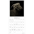 thumbnail image 4 of I Am Goat 2023 Wall Calendar: Animal Portrait Photography by Kevin Horan (Other), 4 of 4