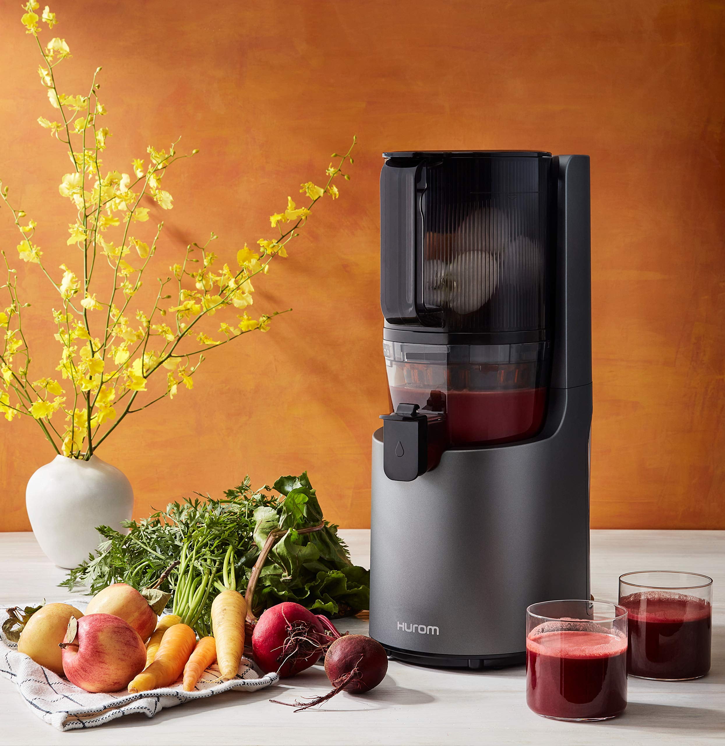 ヒューロム　H-200 Shop H200 Easy Clean Slow Juicer | Official Hurom Store