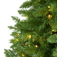 thumbnail image 5 of Nearly Natural 6.5ft. Green Valley Fir Artificial Christmas Tree with 350 Clear LED Lights 1125 Bendable Branches, Green, 5 of 8