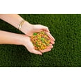 thumbnail image 4 of Wonka Nerds Rainbow Candy (Pack of 2), 4 of 6