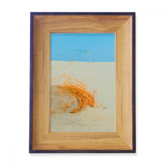 Ocean Sand Beach Orange Line Picture Photo Frame Exhibition Display Art Desktop Painting