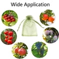 thumbnail image 6 of TOP-MAX 100PCS Fruit Netting Protection Bags with Drawstring Reusable Protector Bag for Fruit Vegetable Dark Green, 6 of 8