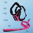 thumbnail image 3 of Voyager Step-In Lock Dog Harness & Reflective Leash Set w/ Neoprene Handle 6ft - For Small to Large Breed Dogs/ Cats, Cute & Heavy-Duty for Walking, Running & Training - Fuchsia Black Trim, S, 3 of 9