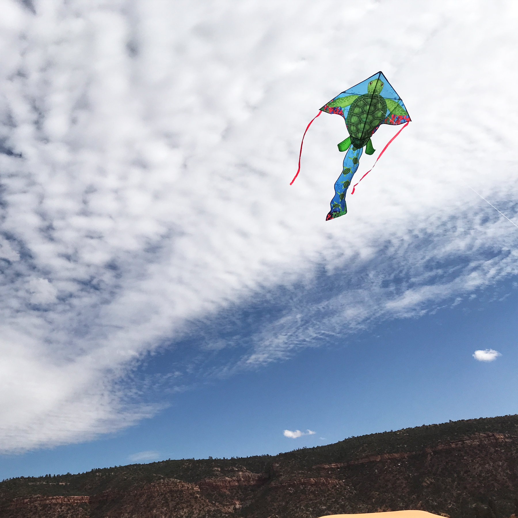 In the Breeze 3322 — Sea Turtle 45 Inch Fly-Hi Kite - Fun, Easy Flying Kite for All Ages