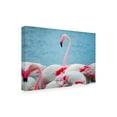 thumbnail image 2 of Ben Heine 'Flamboyant Of Flamingos 4' Canvas Art, 2 of 3