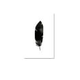 thumbnail image 1 of cuadro decorativo pluma lienzo by suma  1 pieza 120 X 80 CM, 1 of 2
