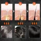 thumbnail image 3 of Champú para el cabello, jabón Polygonum Multiflorum, champú, cubierta de jabón, cabello gris, oscurecimiento para teñir Canas, barra negra, jabón, cabello blanco a negro, 3 of 5
