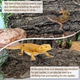 thumbnail image 4 of Cork Terrarium Background 11.8x7.9in 6PCS Natural Reptile Cork Bark Flats Terrarium Board Bearded Dragon Climbing Wall Mat Tank Decor for Lizard Chamelon Snake Turtle Spider Crested Gecko, 4 of 8