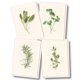thumbnail image 1 of Juego de tarjetas de notas Earth Sky + Water – 8 tarjetas 9 × 13 cm, 1 of 6