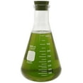 thumbnail image 2 of Pyrex #4980-PACK(RS), Narrow Mouth Erlenmeyer Flask Set with Rubber Stoppers, 5 Sizes - 50, 125, 250, 500, 1000ml, 2 of 6