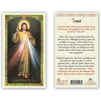 Divine Mercy Trust Laminated Prayer Cards - Pack of 25