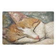 thumbnail image 2 of The Sleeping Orange Cat Highly Absorbent Polyester Doormat Anti-slip Anti-fouling Indoor Outdoor Entrance Welcome Mat 32×20in., 2 of 8