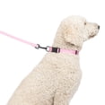 thumbnail image 2 of One Paw, Webbing Collar for Dogs, Multiple Colors and Sizes, 2 of 5