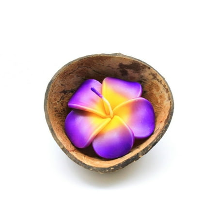 Floral Candle Hawaii Luau Party Real Coconut Half Shell Candle Holder Floral Plumeira Lavender Scented Candle in Purple ()